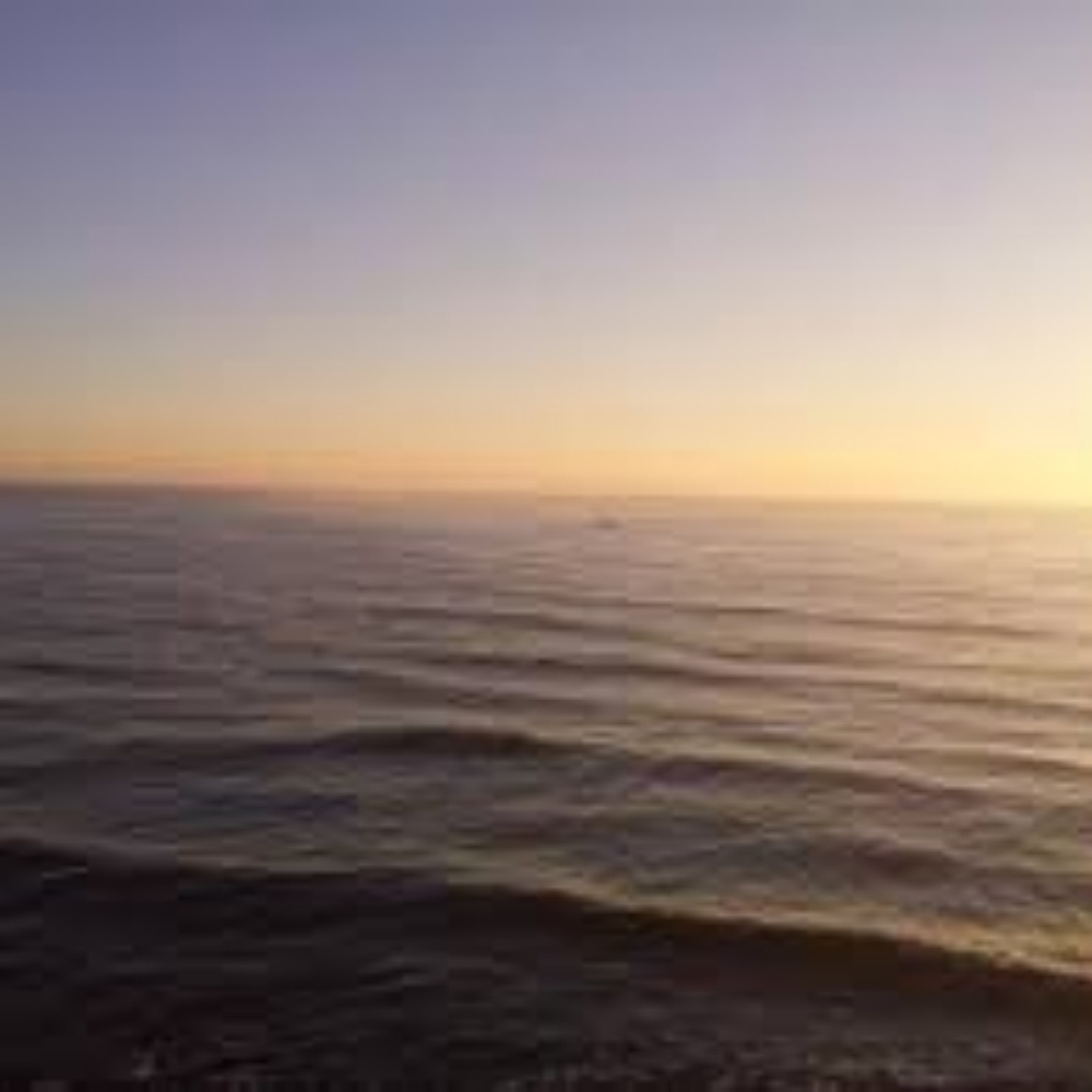 Meet your Posher, Juli